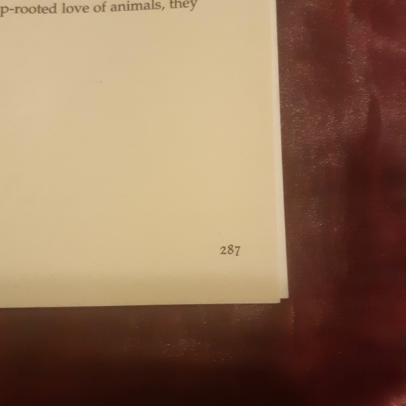 The book of fortune telling - Picture 4 of 4